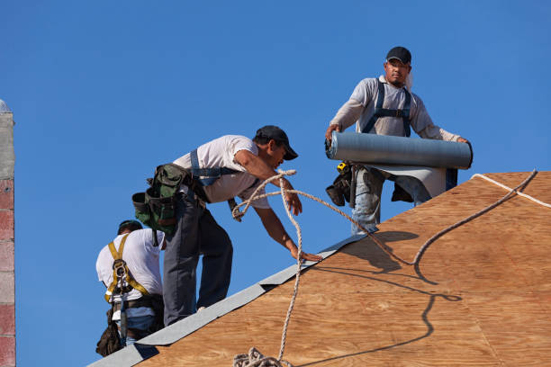 Best Roof Gutter Cleaning  in Gleed, WA